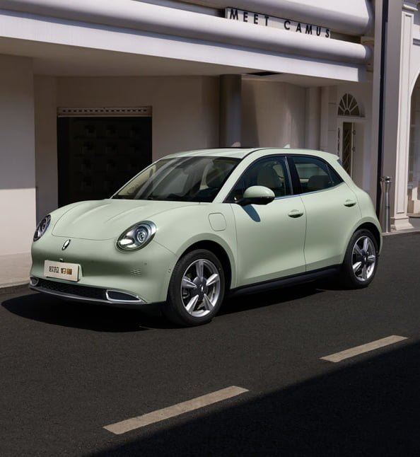 Funky Cat 1 ORA Funky Cat